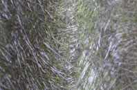 Barmby On The Marsh fibreglass roof work